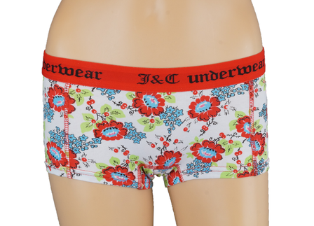 2-pack Dames Hipster Rood+Paars J&amp;C