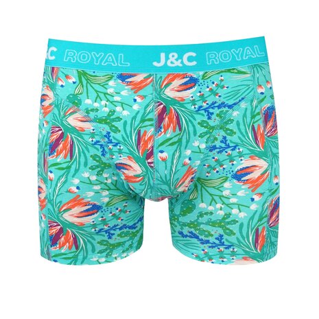 2-pack Heren Boxershorts H252 J&C katoen geprint 