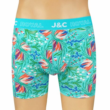 2-pack Heren Boxershorts H252 J&C katoen geprint 