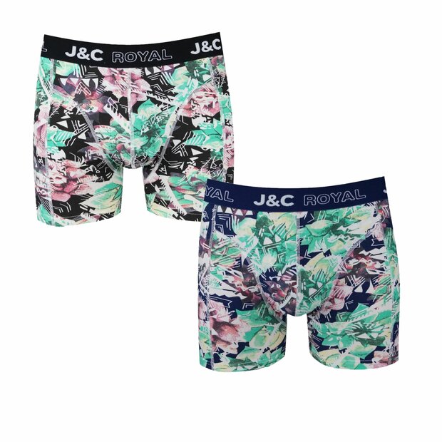 2-pack Heren Boxershorts H250 J&amp;C katoen geprint 