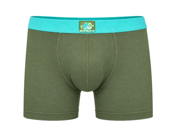 Active Plus Jongens boxershort Legergroen/Lichtblauw