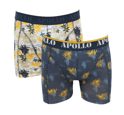 Apollo 2-Pack Heren boxershorts Grijs/Oranje